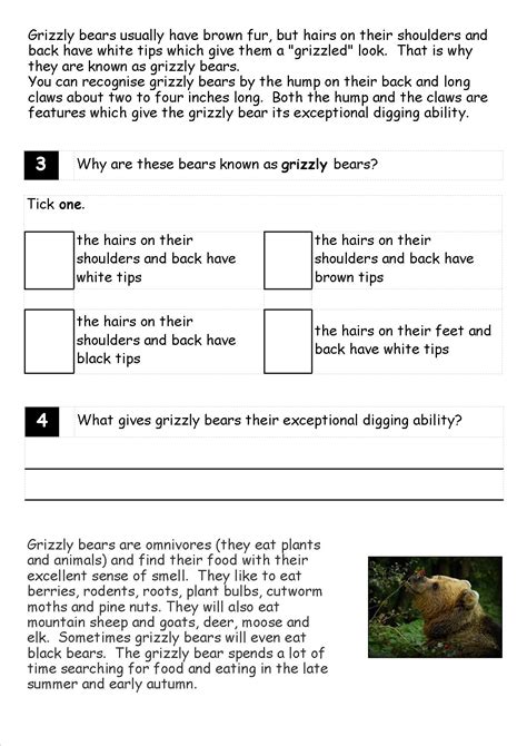KS1, KS2, literacy, SATs reading, comprehension, fiction, non-fiction