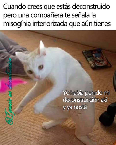Meme De Gatito Duren ~ Gatos Gatitos Maltrato Acaba Adictivo365 Puedas