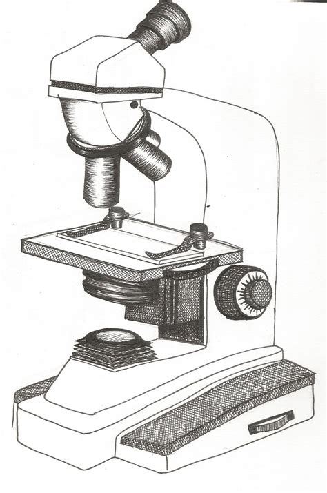How To Draw A Microscope Easy Drawing Art Images And Photos Finder