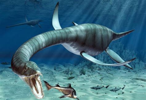 Dinozaury Pływające Rodzaje Opis Pochodzenie