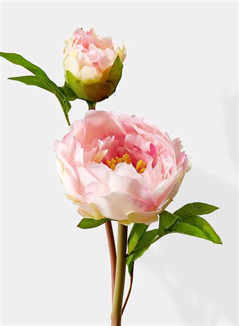 Light Pink Peony Flower Stems Silk Peonies Flowers For Sale