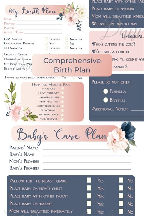 10 Best Birth Plan Templates For 2021 Best Free And Premium Templates
