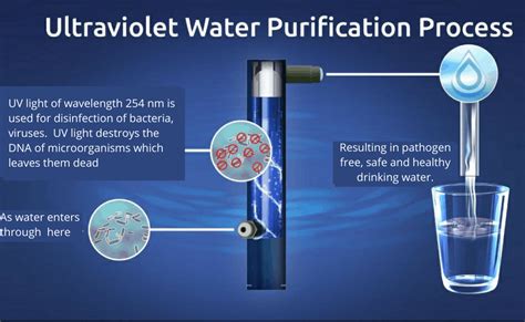 Ultraviolet Light Water Purification Process Shelly Lighting