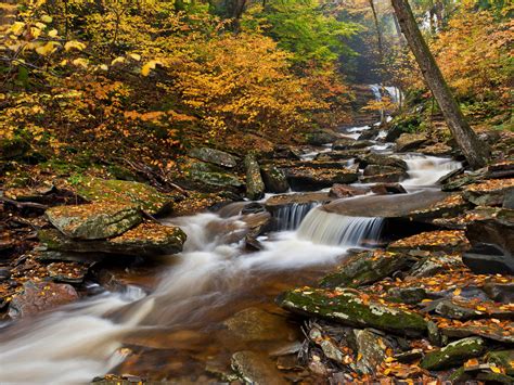 Ricketts Glen State Park Pennsylvania United States Autumn Photography
