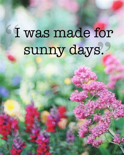 20 Absolutely Beautiful Quotes About Summer Summer