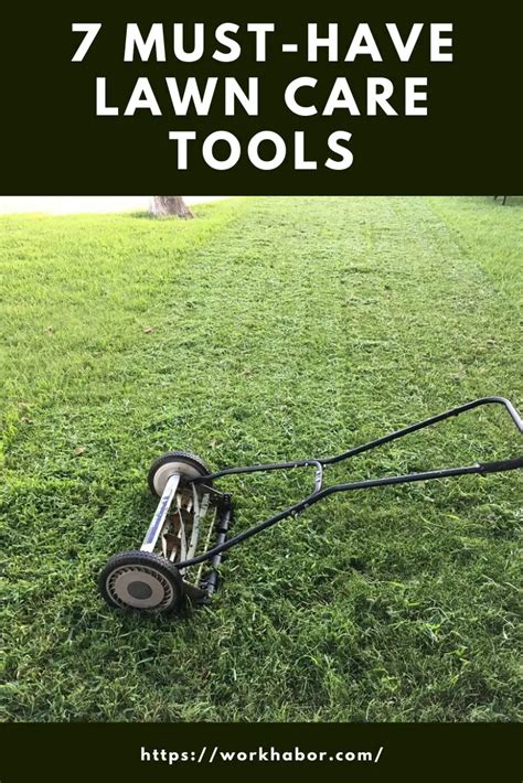 Must Have Lawn Care Tools
