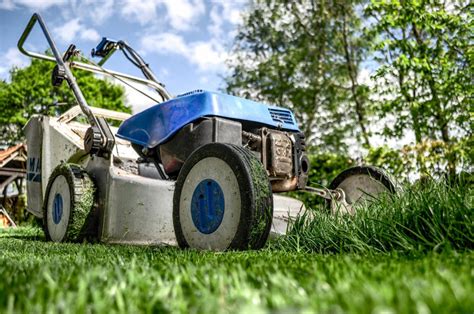 Best Lawn Care Tools A Detailed Overview Home Tools