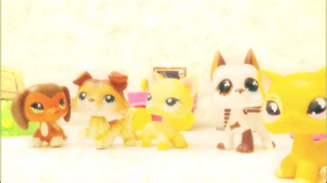 Lps Popular Series Review And Discussion Youtube