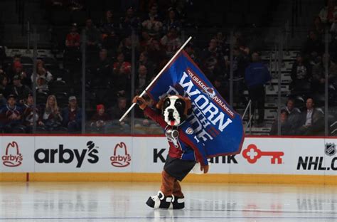 Colorado avalanche news, colorado avalanche schedule and colorado avalanche rumors, updates, scores, roster, stats, commentary and analysis from the denver post. Colorado Avalanche Roundup: Player Activities and Puppies