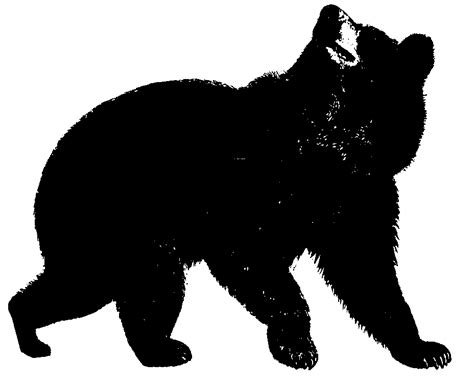 American Black Bear Clip Art Library