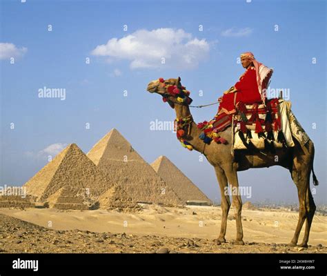 Jinete De Camellos Egipcios En Traje Tradicional Fotografías E Imágenes De Alta Resolución Alamy