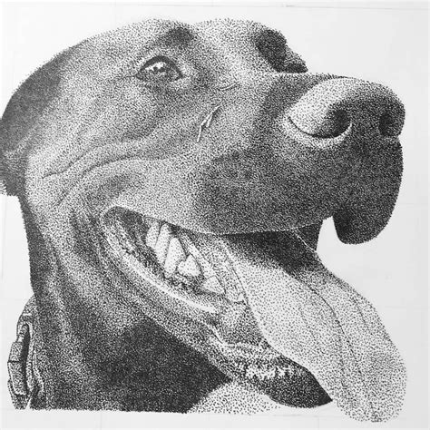 Smiling Dog Animals In Stippling Drawings Click The Image For More