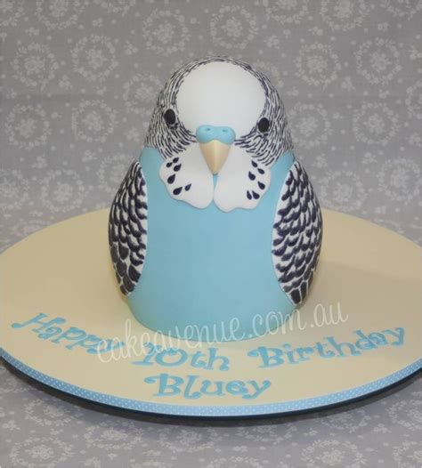 Budgie Cake Cake Shapes Birthday Cake Girls Animal Cakes