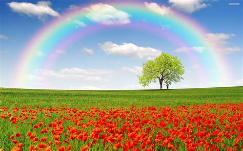 Natural Rainbow Wallpapers Top Free Natural Rainbow Backgrounds