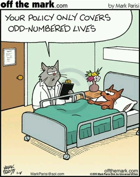 1000 Images About Cat And Dog Humor And Cartoons On Pinterest Cats
