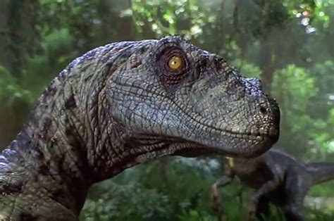 Show Us Your Jurassic Park Dinosaur Knowledge And Well Tell You If