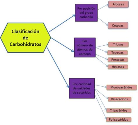 Nomenclatura De Los Carbohidratos Balan