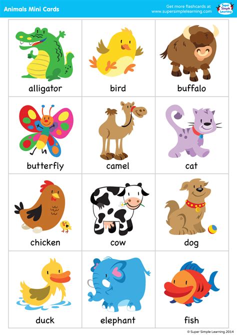 Flash Card Words For Toddlers