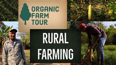 Rural Organic Farming Rural Farming In India Youtube