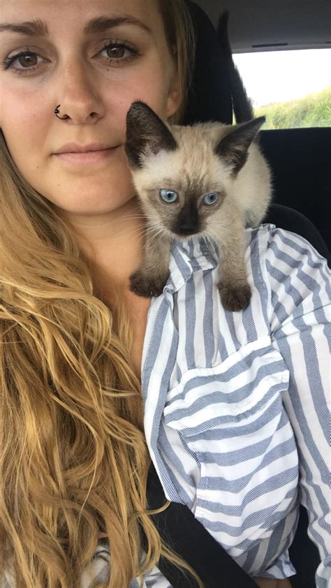 Siamese cats first appeared in siam (now thailand) between 1350 and 1700. Came home from a long day of work to find that my ...