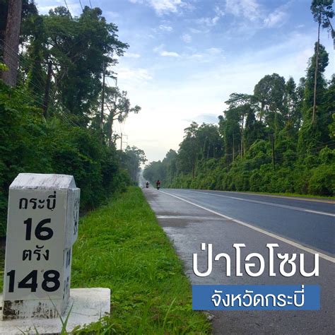 Thairath tv is a digital terrestrial television owned by the news publisher, thai rath, launched in april 2014 after they won a digital television broadcast license. Thairath_News on Twitter: "ผ่านไปต้องแวะถ่ายรูป! จุดชมวิว ...