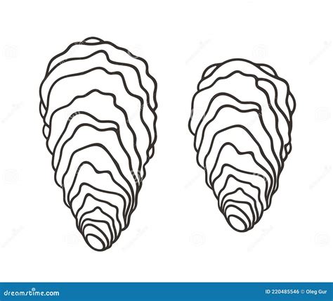 Oyster Outline Isolated Oyster On White Background Stock Vector