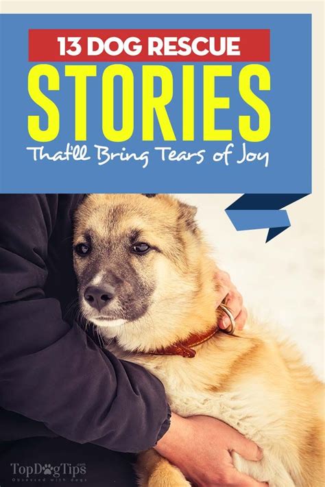 13 Dog Rescue Stories Thatll Bring Tears Of Joy Dog Rescue Stories