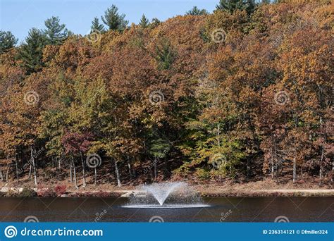 Autumn At The Edge Of The Pond At Barrett Park Stock Image Image Of