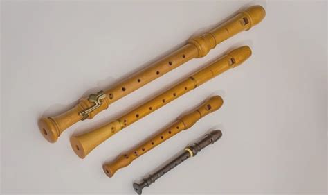 Flute Vs Recorder The Differences In Technique And Skill Required