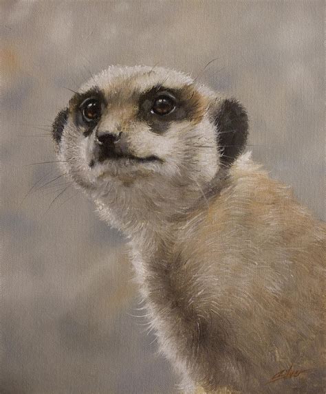 Meerkat Portrait I Painting By John Silver Fine Art America