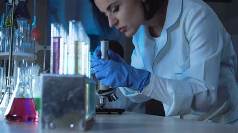 Scientist Examining Microscope In Colorful Stock Footage Sbv 315904833