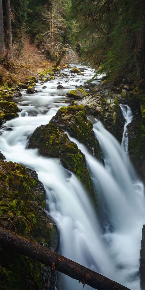Stream Water Current Waterfall Forest Nature 1080x2160 Wallpaper