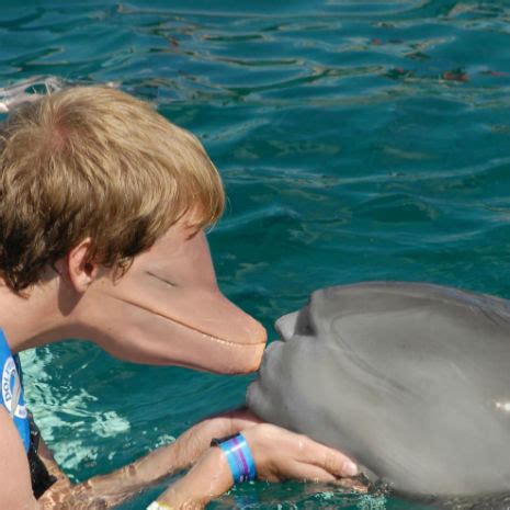 Highly disturbing human/dolphin 'face swap' | Dangerous Minds