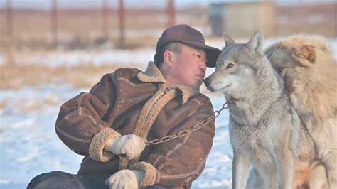 Inner Mongolias Wolf Raiser Youtube