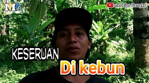 Keseruan Di Kebun Cabe Youtube