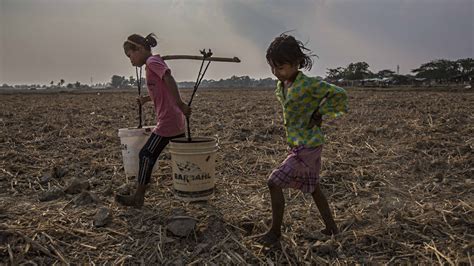 Massachusetts is the most expensive state for infant daycare, followed by colorado, minnesota, maryland, and new york, all with costs higher than $14,000. How much a drop of water is worth. Myanmar's orchards of hope