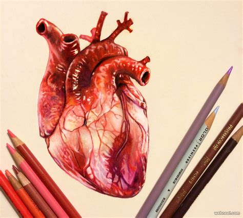 25 Stunning And Realistic Color Pencil Drawings By Morgan Davidson