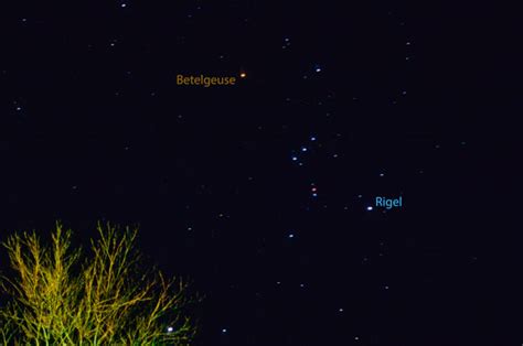 Meet Betelgeuse The Red Giant Of Orion Sky And Telescope