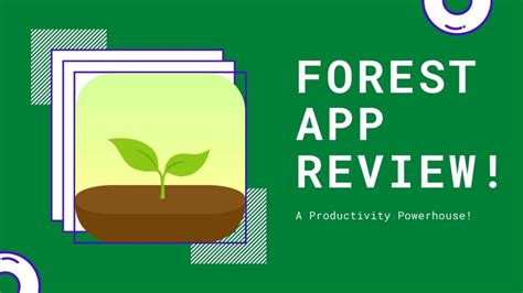 Forest App Review Most Useful App To Get Things Done Moinul The