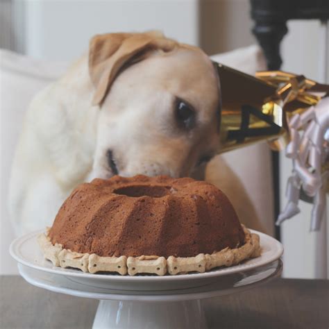 Using bananas in this recipe for dogs gives some natural sweetness which is enhanced with a little bit of honey, coconut oil and vanilla extract. My Sweet Savannah: ~it's a dogs life~{doggie birthday cake recipe}