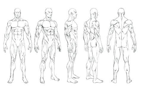 Male Outline For Drawing At Explore Collection Of