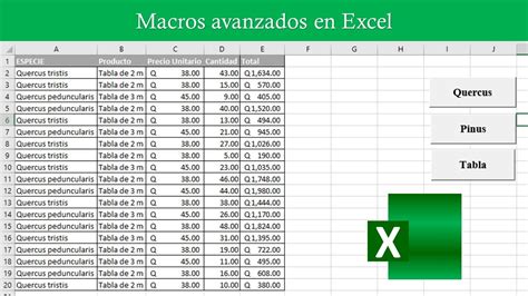Como Usar Los Macros En Excel Printable Templates Free