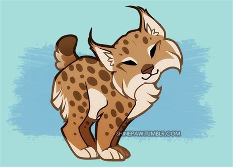 Lynx Animal Sketches Cute Animal Drawings Kawaii Drawings Cartoon
