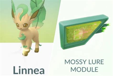 Sep 23, 2019 · eevee's evolutions in pokemon go are usually triggered randomly, unless you use the trick below! Pokemon GO Leafeon: How to evolve Eevee into Leafeon with ...