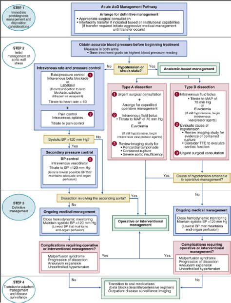 Management Chart For Acute Aortic Dissection With Stepwise Description