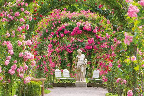 Le Jardin Des Nouvelles Roses Tourismus Bwde