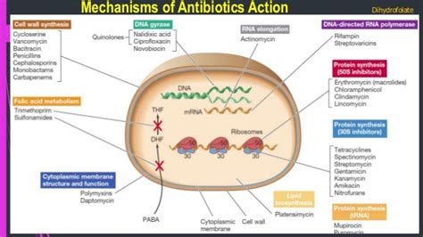 There were no adverse effects of either vancomycin or hemodiafiltration. Antibiotics