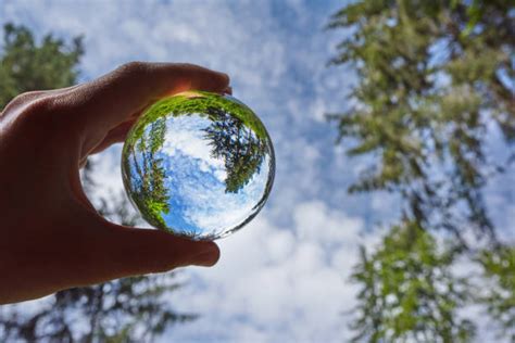 Learn more about environmental science in this article. Best Environmental Science Stock Photos, Pictures ...