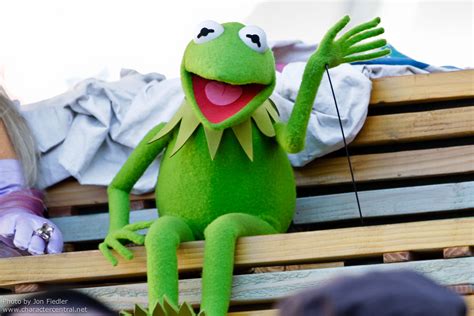 Kermit The Frog Through The Years Muppet Wiki