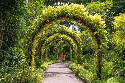 El Lado Verde De Singapur Parques Reservas Y Jardines — Don Viajes